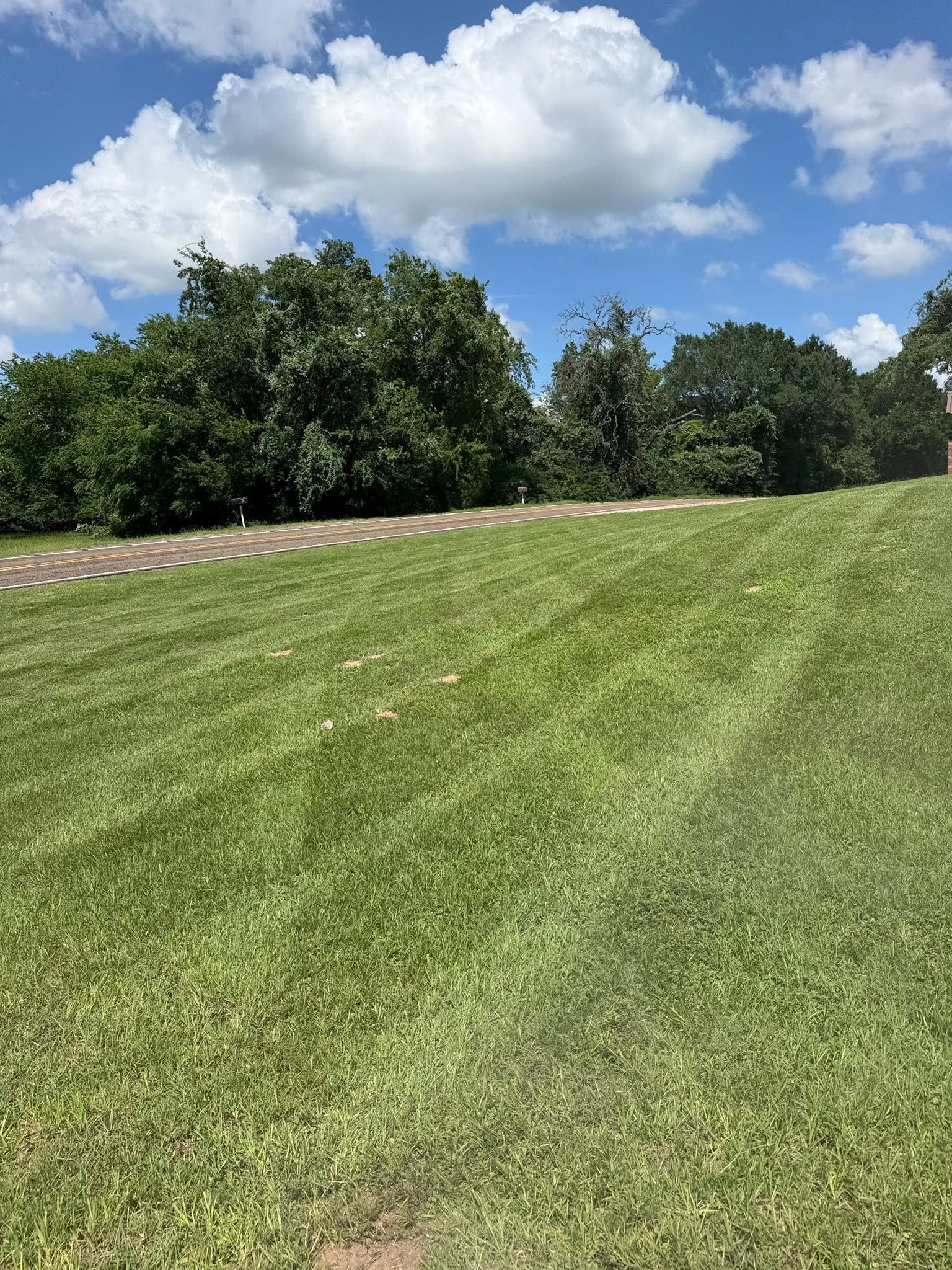 721602890 122097648117360957 7519429311891635391 n