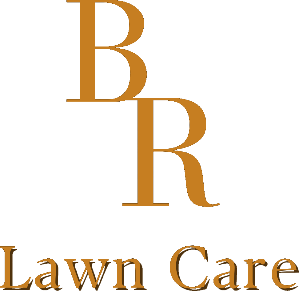 BR Lawn Care logo